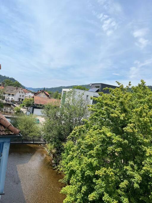 Loewen Appartement Hausach Buitenkant foto