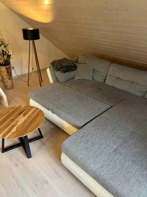 Loewen Appartement Hausach Buitenkant foto